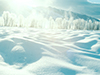 Blanket of Snow -- Free Winter wallpapers -- Yahoo! Greetings wallpapers