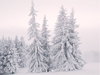 January Calendar -- Free January wallpapers -- Yahoo! Greetings wallpapers