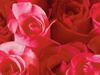 February Calendar -- Free February wallpapers -- Yahoo! Greetings wallpapers