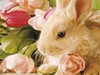 Adorable April Calendar -- Free April wallpapers -- Yahoo! Greetings wallpapers