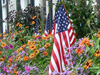 July Calendar -- Free July wallpapers -- Yahoo! Greetings wallpapers