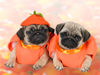 October Calendar -- Free October wallpapers -- Yahoo! Greetings wallpapers