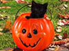 Cat-o-lantern -- Free Halloween wallpapers -- Yahoo! Greetings wallpapers