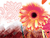 Daisy Dreams -- Free Abstract wallpapers -- Yahoo! Greetings wallpapers