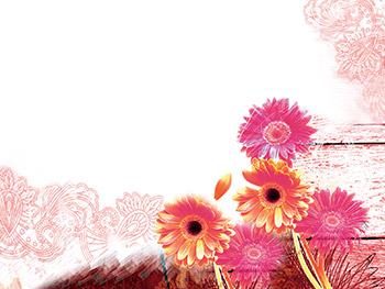 Daisies+background