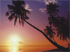 February Calendar -- Free February wallpapers -- Yahoo! Greetings wallpapers