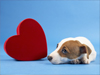 February Calendar -- Free February wallpapers -- Yahoo! Greetings wallpapers