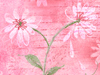 Flower Pot -- Free Flower Art wallpapers -- Yahoo! Greetings wallpapers