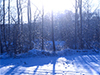 Winter Dawn -- Free Winter wallpapers -- Yahoo! Greetings wallpapers