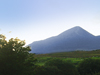 I Am Of Ireland -- Free St. Patrick's Day wallpapers -- Yahoo! Greetings wallpapers