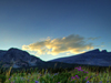 Wildflowers -- Free Spring wallpapers -- Yahoo! Greetings wallpapers
