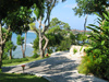 Tropical Garden -- Free South Pacific wallpapers -- Yahoo! Greetings wallpapers