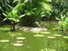 Exotic Lagoon -- Free Nature Photo wallpapers -- Yahoo! Greetings wallpapers