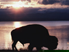 Home on the Range -- Free United States Vacation wallpapers -- Yahoo! Greetings wallpapers