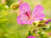 April Calendar -- Free April wallpapers -- Yahoo! Greetings wallpapers