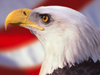 American Pride -- Free Fourth of July wallpapers -- Yahoo! Greetings wallpapers