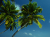 May Calendar -- Free May wallpapers -- Yahoo! Greetings wallpapers