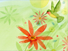 Hungry Hummingbird -- Free Other Animals wallpapers -- Yahoo! Greetings wallpapers