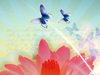 Lotus Blossom -- Free Abstract wallpapers -- Yahoo! Greetings wallpapers