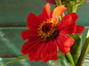 August Calendar -- Free August wallpapers -- Yahoo! Greetings wallpapers