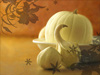 White Pumpkin and Gourds -- Free Autumn wallpapers -- Yahoo! Greetings wallpapers