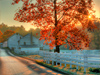 October Calendar -- Free October wallpapers -- Yahoo! Greetings wallpapers