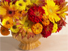 Bold Bouquet -- Free Flower Photo wallpapers -- Yahoo! Greetings wallpapers
