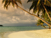 November Calendar -- Free November wallpapers -- Yahoo! Greetings wallpapers