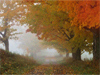 November Calendar -- Free November wallpapers -- Yahoo! Greetings wallpapers