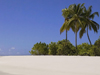 Sandy Beach -- Free Beach wallpapers -- Yahoo! Greetings wallpapers
