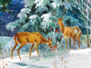 Winter forest -- Free Winter wallpapers -- Yahoo! Greetings wallpapers