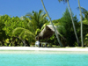 Tropical March Calendar -- Free March wallpapers -- Yahoo! Greetings wallpapers