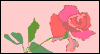 Rosy Love -- June National Rose Month eCard from Yahoo! Greetings