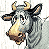 No Bull! -- Funny Birthday Greeting Cards project from Yahoo! Greetings