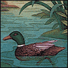 Mallard Duck -- Just Because Family Greeting Cards project from Yahoo! Greetings