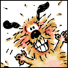 Bouncing Dog -- General Congratulations Greeting Cards project from Yahoo! Greetings