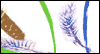 On the Loss<br>of Your Pet: Free Sympathy ecard from Egreetings