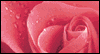 Forever Yours --  eCard from Yahoo! Greetings