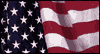 Salute You -- Veterans Day eCard from Yahoo! Greetings
