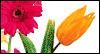 Happy Easter (Add-a-Photo) --  eCard from Yahoo! Greetings