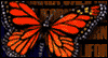 10/14 Monarch Day --  eCard from Yahoo! Greetings