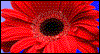 A Springtime Wish --  eCard from Yahoo! Greetings
