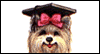 Congratulations -- Graduation Congratulations eCard from Yahoo! Greetings