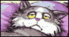 From the Cat