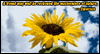 Emerson Quote: Free Friendship ecard from Egreetings