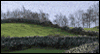 My Ireland --  eCard from Yahoo! Greetings