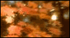 Family Birthday Wishes -- More Family Birthday eCard from Yahoo! Greetings