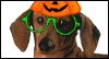 Happy Halloweenie: Free Halloween ecard from Egreetings