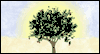 Tree of Life -- Flavia Birthday eCard from Yahoo! Greetings