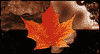 Thankful Lives: Free Thanksgiving ecard from Egreetings